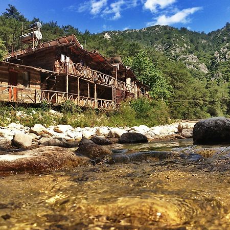 Kadirs Tree Houses Kumluca Dış mekan fotoğraf